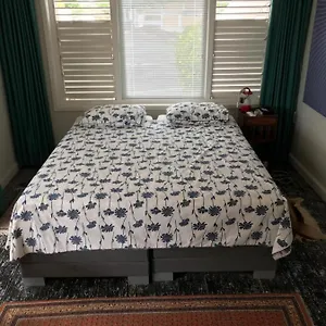 Jacaranda Curacao Villa